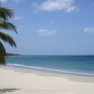 Image-Gallery